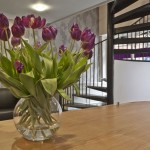 Our Offices